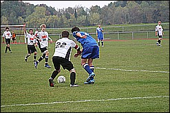 IMG_5960.JPG