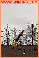 IMG_5569.JPG