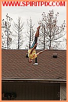 IMG_5575.JPG