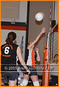 IMG_8193.JPG