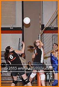 IMG_8195.JPG