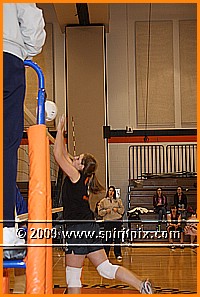 IMG_8254.JPG