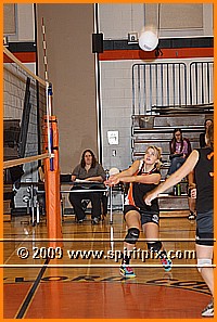 IMG_8259.JPG