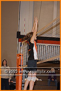 IMG_8281.JPG