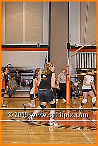 IMG_8679.JPG