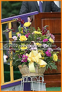 IMG_8004.JPG