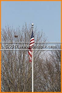 IMG_0020.JPG