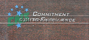 IMG_9021.JPG