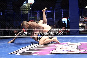 IMG_1817.JPG