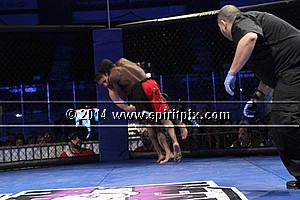 IMG_1825.JPG