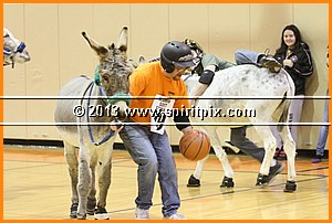 IMG_7265.JPG