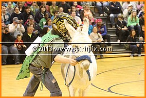 IMG_7267.JPG