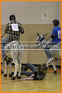 IMG_7282.JPG