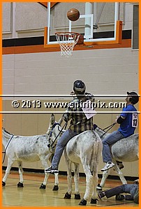 IMG_7285.JPG