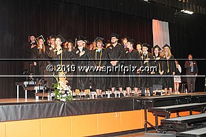 IMG_7335.JPG