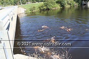 IMG_2862.JPG